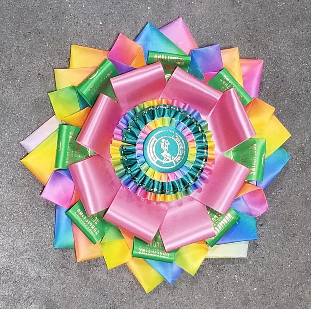 Ribbon Wheels Doghouse Quilts